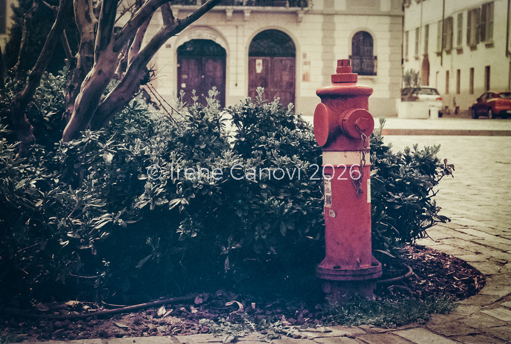 Una fotografia urbana con estetica vintage e colori desaturati. In primo piano sulla destra un idrante rosso acceso, posto ai margini di un'aiuola circolare. A sinistra dellidrante fitti cespugli verdi e tronchi d'albero che occupano la parte centrale dell'immagine. Sullo sfondo, sfocato, un edificio storico in stile europeo con portoni ad arco. Sono visibili due auto parcheggiate in lontananza. Sovraimpressa sull'immagine la scritta ©Irene Canovi 2026